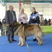 Salzburg Clubschau Mai 06 034 